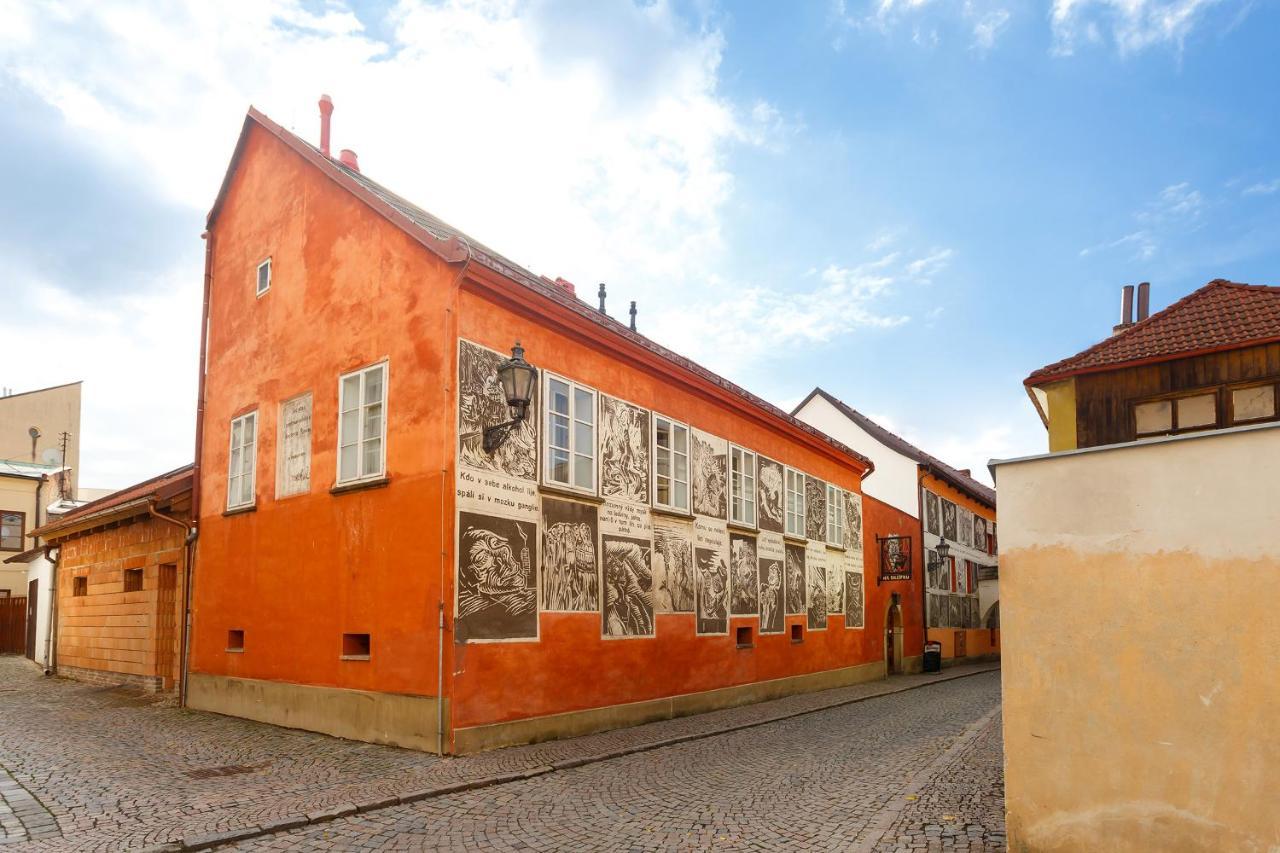 Pension Paseka Litomyšl Exteriör bild